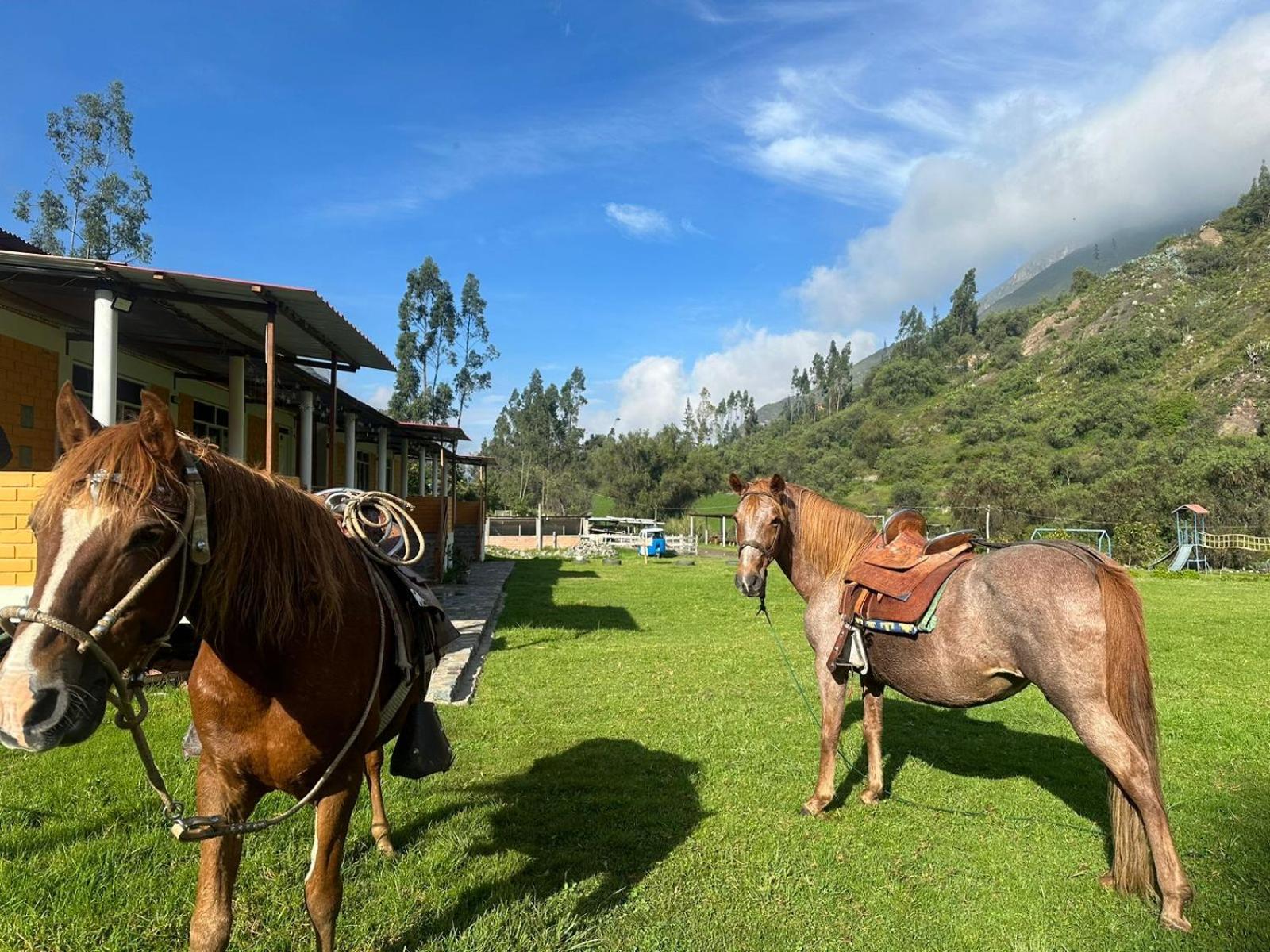 Tambo Lodge Canta Bagian luar foto
